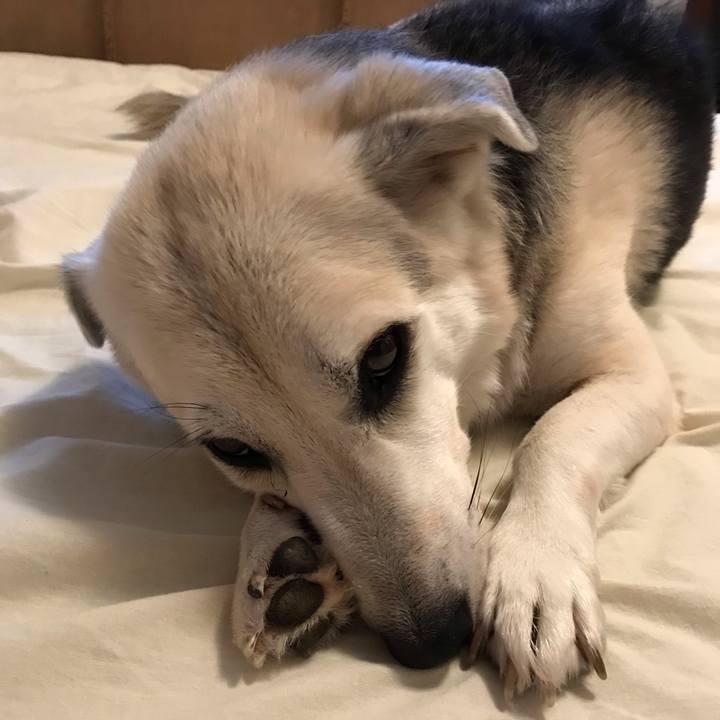 0caec808 0ba4 4518 b1ac f317856ad6bb 1569546535626