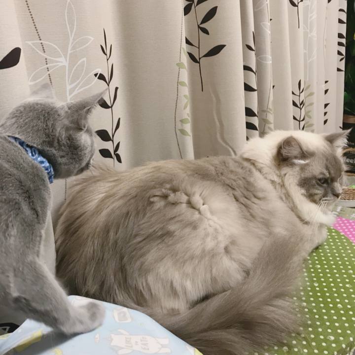 0caf4438 2a23 424f 9138 ea3bdff07b17 1509061932378