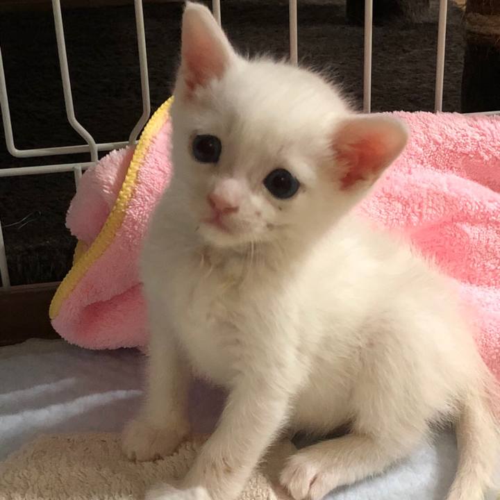 0caf5852 e4ae 44f6 88f7 286d79a47d0d 1530707940611