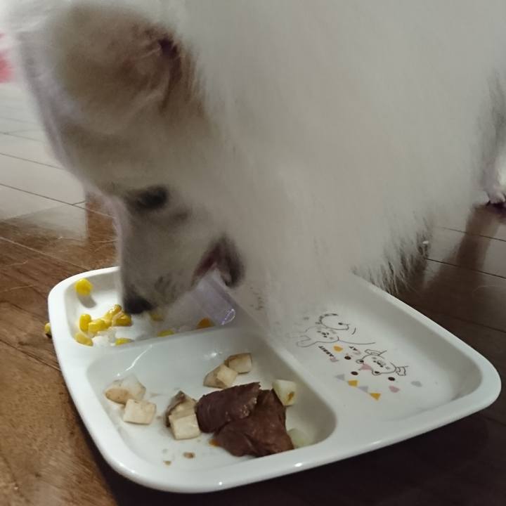 0caf5e10 0afb 44bb b8ac 87144477a5c2 1566991156440