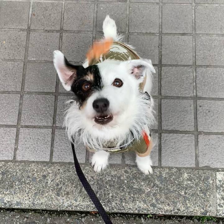 0caf62dc d75a 49ca 8ce0 e4bace9ffee7 1714203750107