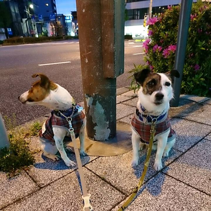 0caf9eb8 d52b 4fed b7d9 245feb70b395 1587205365077