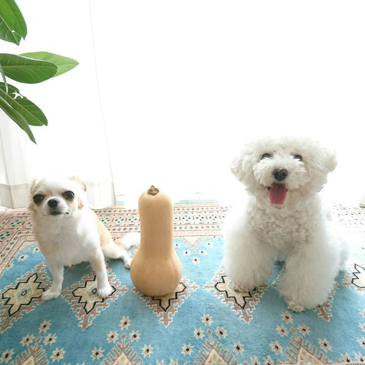 0cafb0d1 56d4 4c1d 9fdb d6b795862cf4 1536660514766