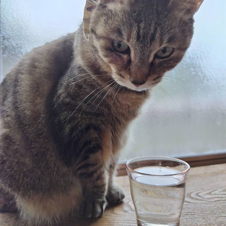 0caff9e4 f837 404f 851b 4a29ffb7580f 1699840401259