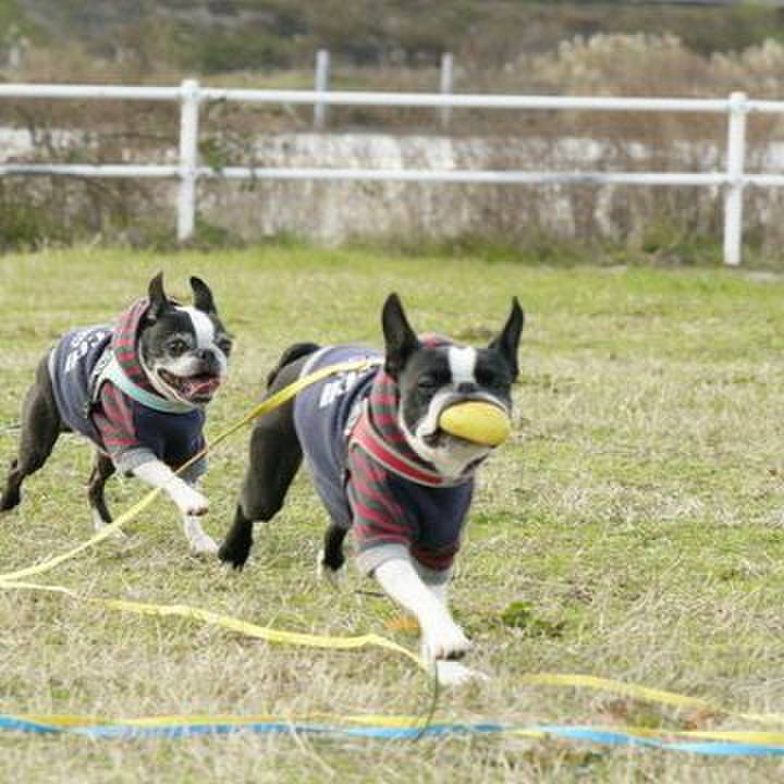 0cb00b2a c923 4ea2 90eb a041b5ae013e 1577950774380