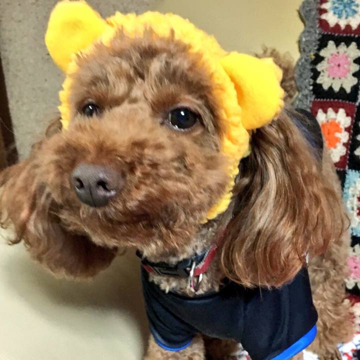 0cb069f6 1cde 431c 8f16 a15ea1d63feb 1522802187636