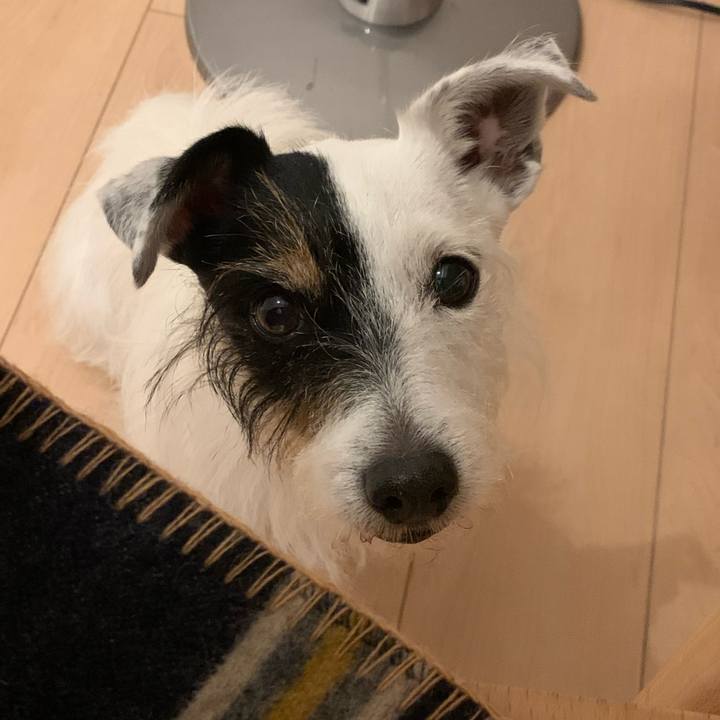 0cb09a5c e9aa 4ad3 86a6 a1dd5f22d47b 1702378132326