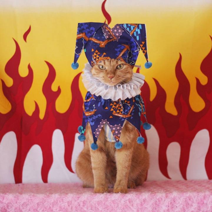 0cb0b01b 5118 4744 ad25 496457a8ea60 1696339541569