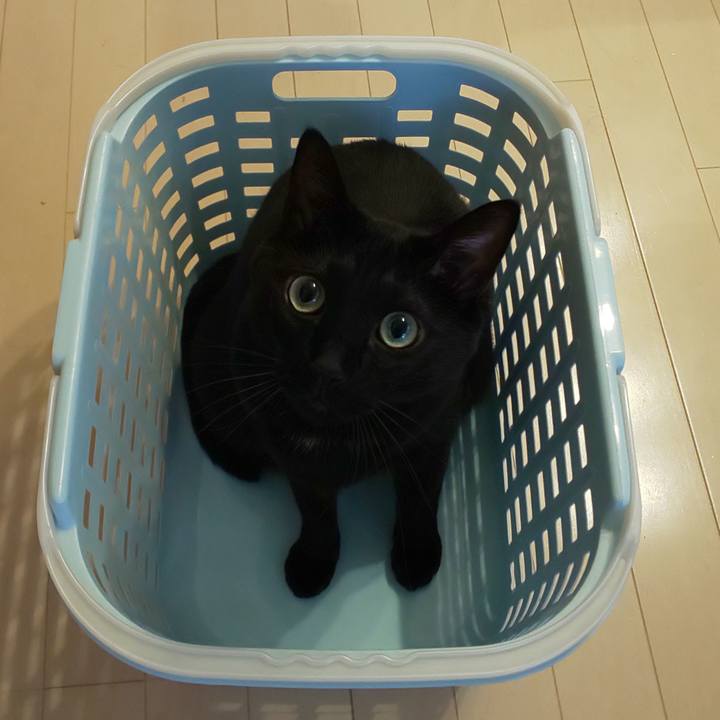 0cb0bca0 7cd9 49be b7a2 2bd9e7a80c63 1667003318544