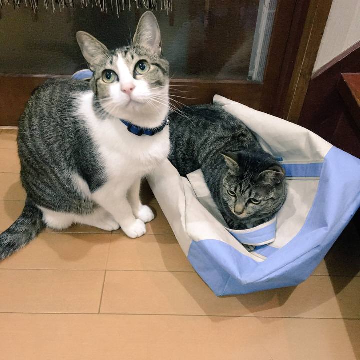 0cb0dba7 234d 41f2 baec f237a8f19c7a 1510635445317