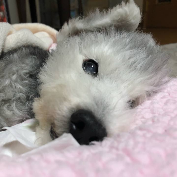 0cb119f8 ad0f 4288 a369 65bd14014cd3 1669623169565