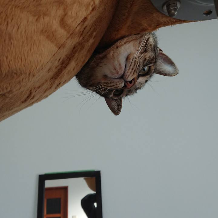 0cb1216d 56b7 43a3 855e 7f75ff4fad4d 1544347760345