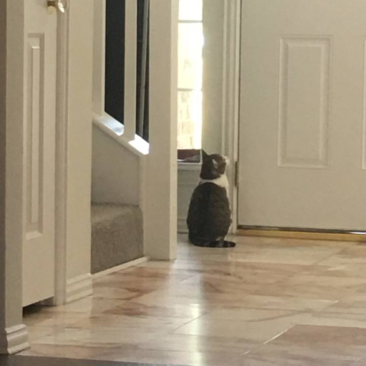 0cb12634 6ea1 4f78 b3f5 179871b4ee01 1651714352048