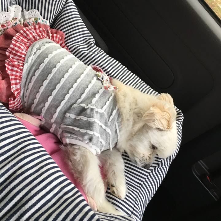 0cb16d5c 319a 42d6 8e1d 3abda57b43c0 1523100426984