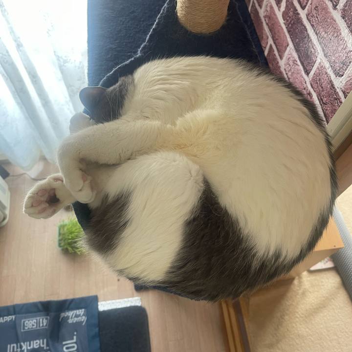 0cb16e9c 5d6a 40fc a4ec 088391c15f8a 1746055268496