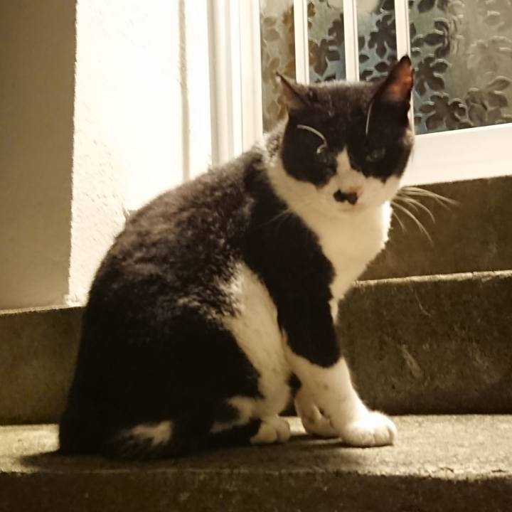 0cb176ce bec2 48ac a6d5 1a3c0184a933 1694696543419