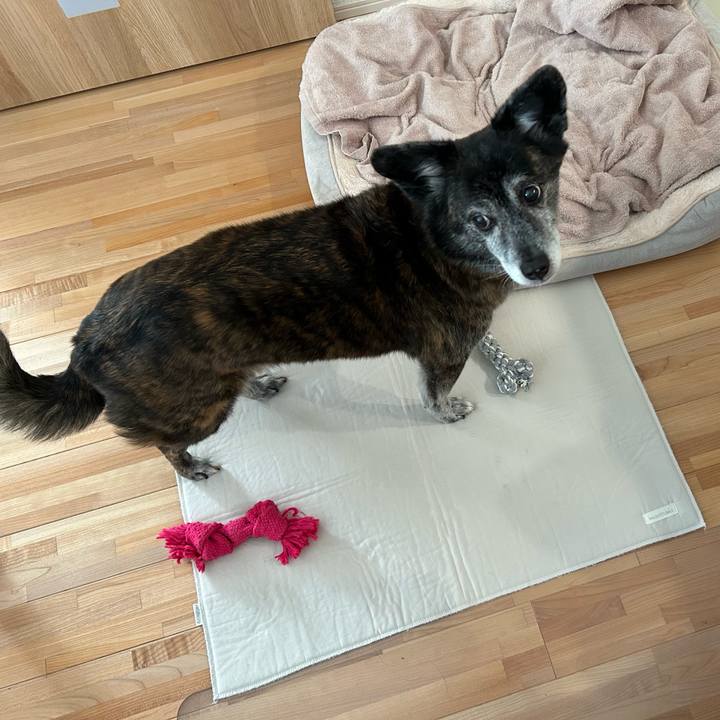 0cb19f6d 4c07 4928 b89e 10a23dd86948 1734921130008