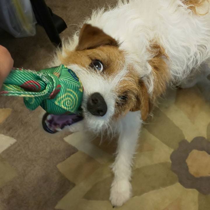 0cb1b980 2f23 43c4 8d90 ad0f4bc265fb 1592005183552