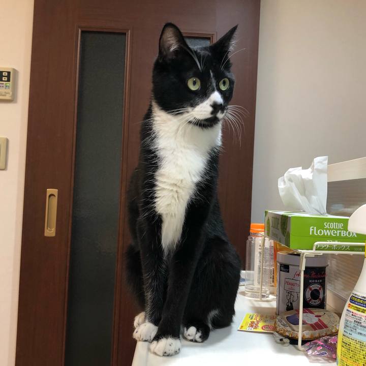 0cb1bd7d ad23 40ac 9c6a 493cab83509e 1540457081098