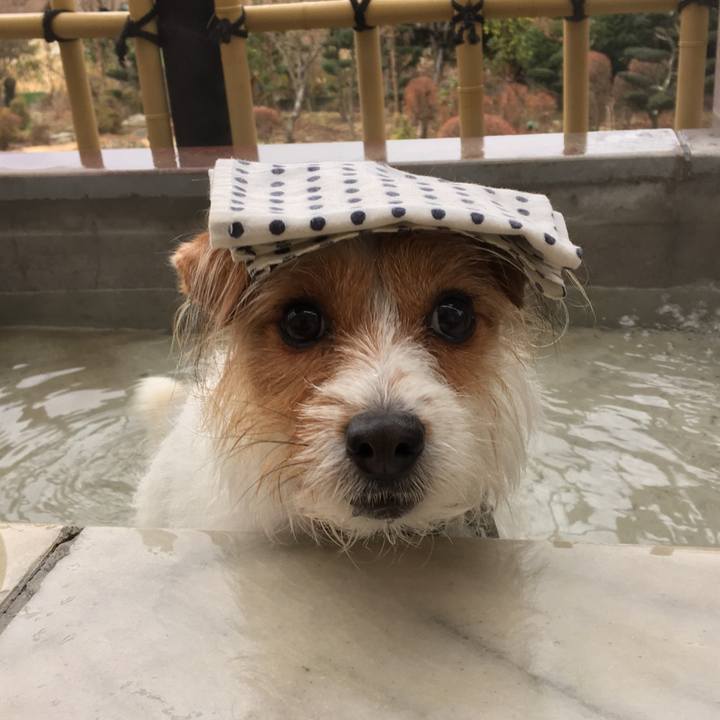 0cb1bf91 f635 4e7b b159 cf584ffe285f 1543539112037