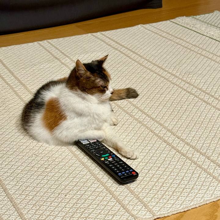 0cb1f5a9 b485 4b5b b71d 5bd61f1e461a 1750947946343