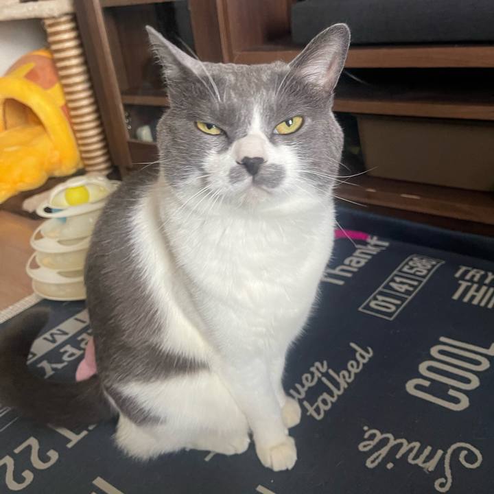 0cb1f5e7 c920 484a 840c 70d298f80ff2 1720248015581