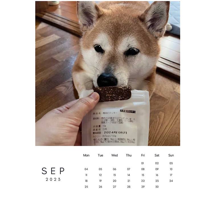 0cb1f6d7 8f93 4843 b3c6 38773fd25083 1693522795684