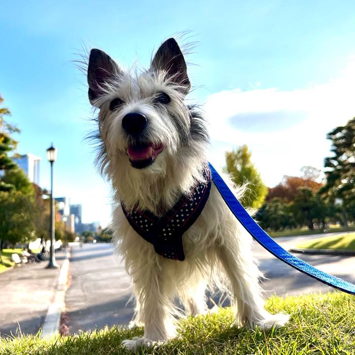 0cb1f73f fca9 490a 8452 c7943ac32c8e 1667475360860