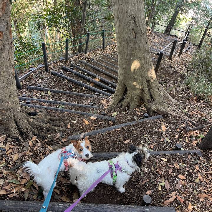 0cb252a4 20ef 4ef8 bc28 5c25a193a6bb 1774785192891