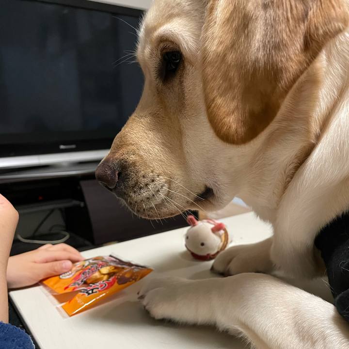 0cb25f01 41a0 4e49 971a 798fa3de5fba 1647613215797