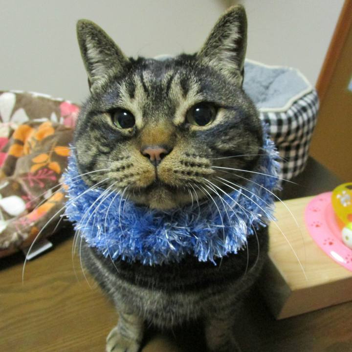 0cb26252 b987 4909 b513 f7f1f8a75c4f 1512310063413