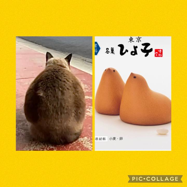 0cb274a6 af3d 4d5f 84cc 923e083fc80d 1736910461666