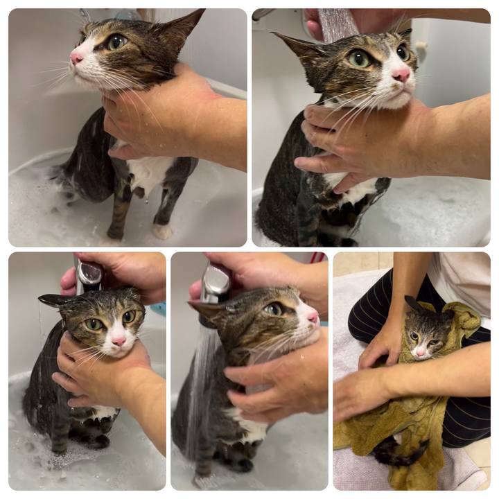 0cb285a0 3c0e 4819 8721 7a20d6a02a47 1702794345595