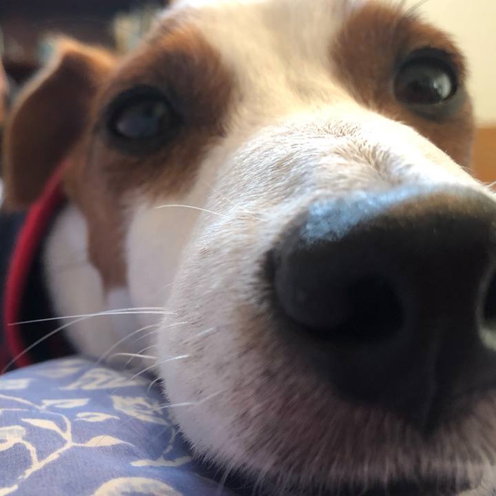 0cb292d1 43d9 4624 89b0 c00966801a3d 1610447872487