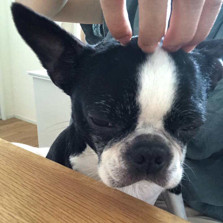 0cb2a510 d038 4cf4 9576 e445148e390a 1654323710834