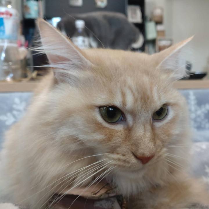 0cb2b459 7cd6 46f4 aa2e a7c5551f1913 1737094233635