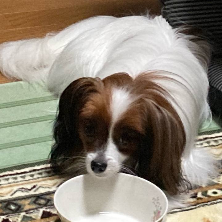 0cb30824 2816 4795 acb3 b29b21cd7b0a 1631700305077