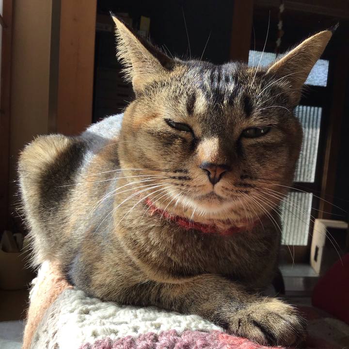 0cb33fac b5c3 4e7c b66a e7efeee20aca 1632817827963