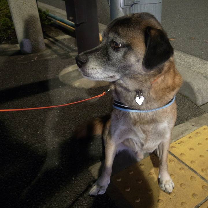 0cb351ee d607 43ff a641 a4f046809fd4 1593080312509