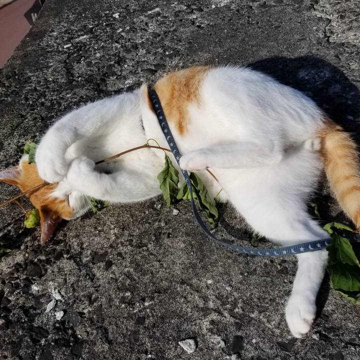 0cb3e480 0a49 4014 84f2 28af60bf2155 1534301869453