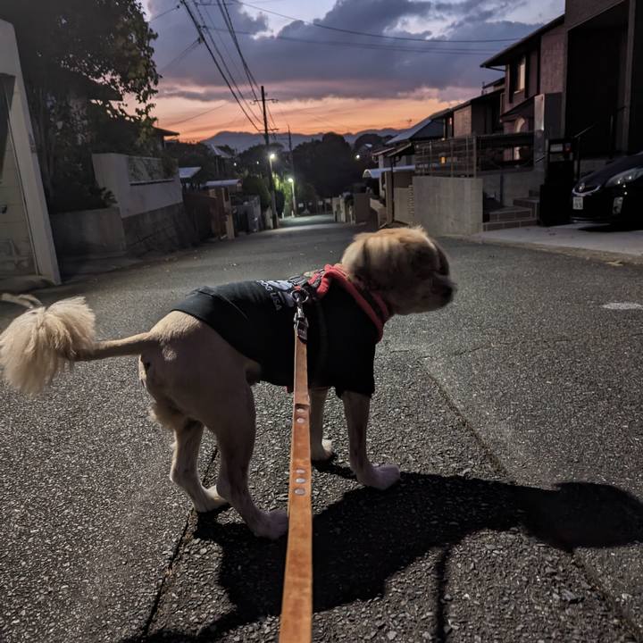 0cb4709a 204b 4a99 bf68 eea58461b45e 1701813691957