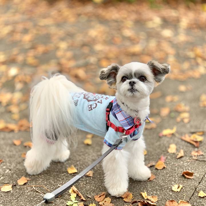 0cb48aa1 7366 4f42 b836 f05b3209edd8 1571625635745