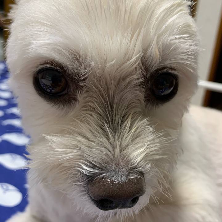 0cb4a329 25e1 4fa3 bd89 654dd717b691 1628945231364