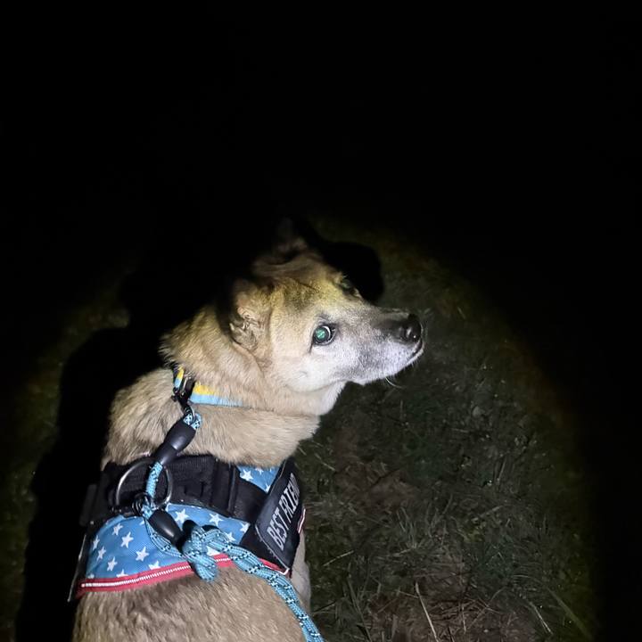 0cb4a91b e4e4 498e 9119 4ec89f5fad7d 1766063260443