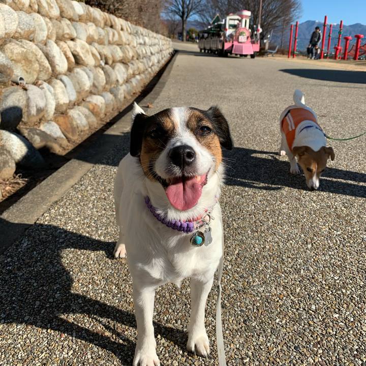 0cb4bdd1 4d0d 4415 bbef f69cfff867f0 1577953349544