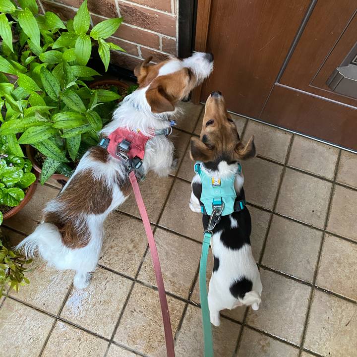 0cb4c30e 5e42 428a a5ea c29ac52c1c79 1745660153672