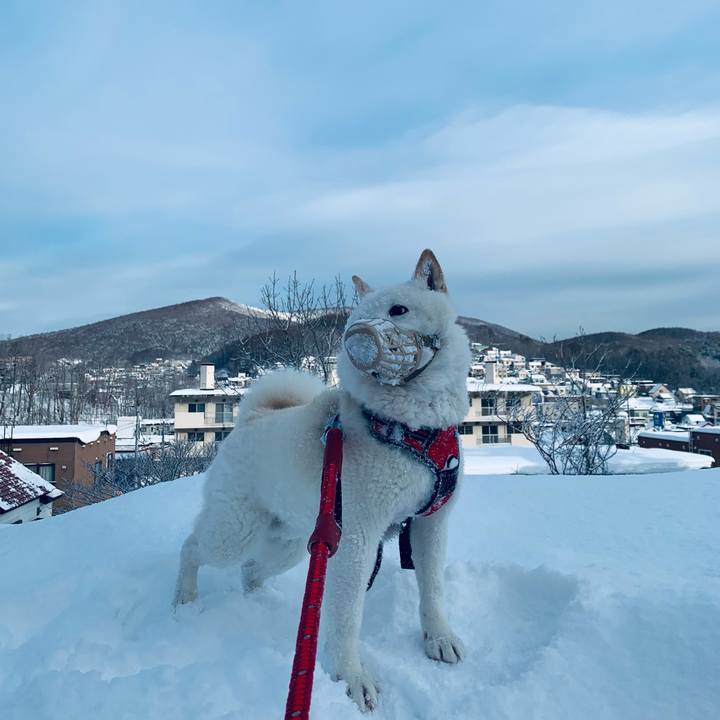 0cb4db04 a657 40ce a8e7 ebd0cff67304 1642293718519