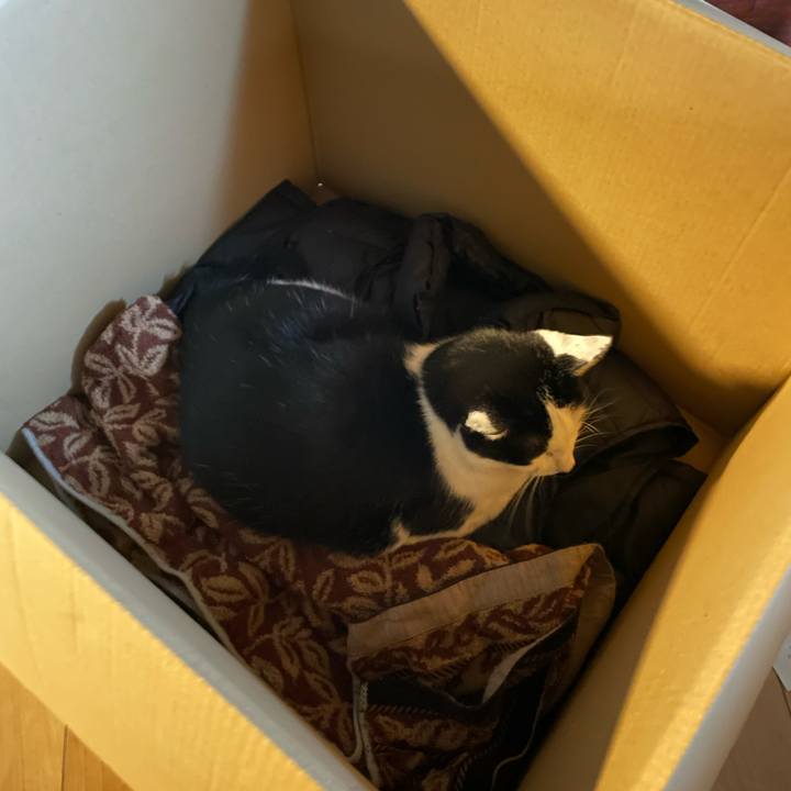 0cb56424 9502 47c4 bfa5 132b4571a43b 1681688027492