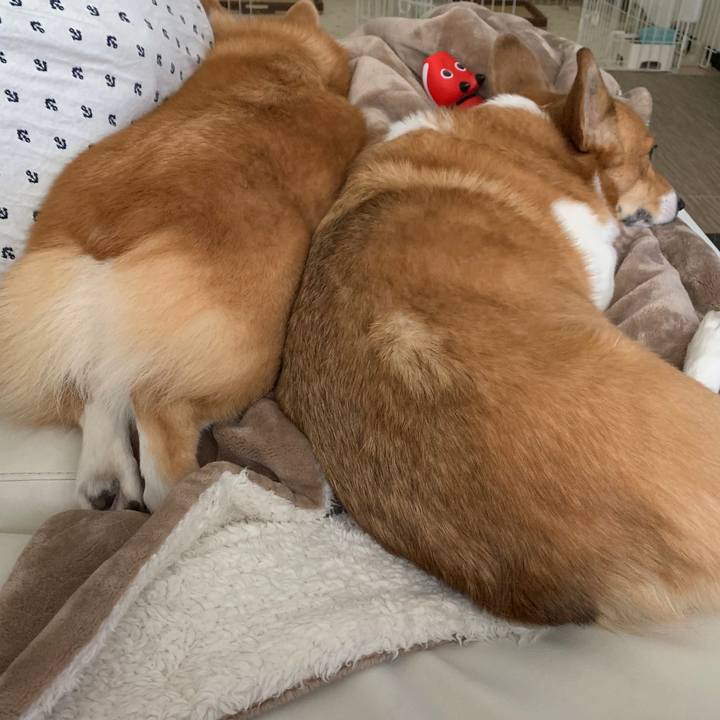 0cb56aa4 663c 4718 aa5c 54ea45ad79e0 1580051248651