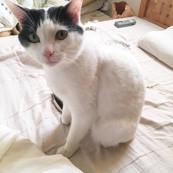 0cb5796e 2387 4dbe bcb3 ee90fcaf8b99 1512597708856